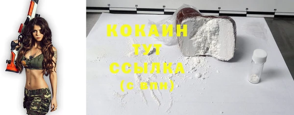 дживик Кинешма