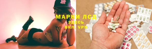 стафф Корсаков