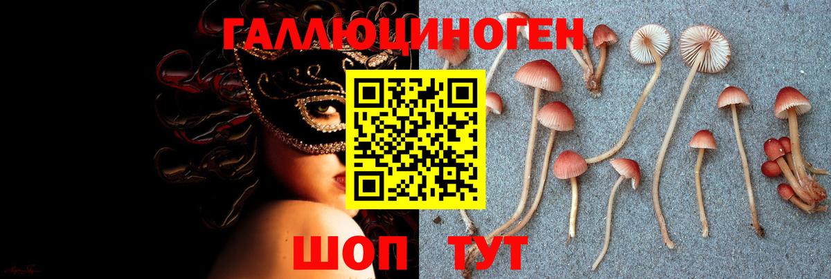 Галлюциногенные грибы Magic Shrooms  Вход с VPN  Михайловка 
